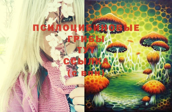 прущая мука Абаза
